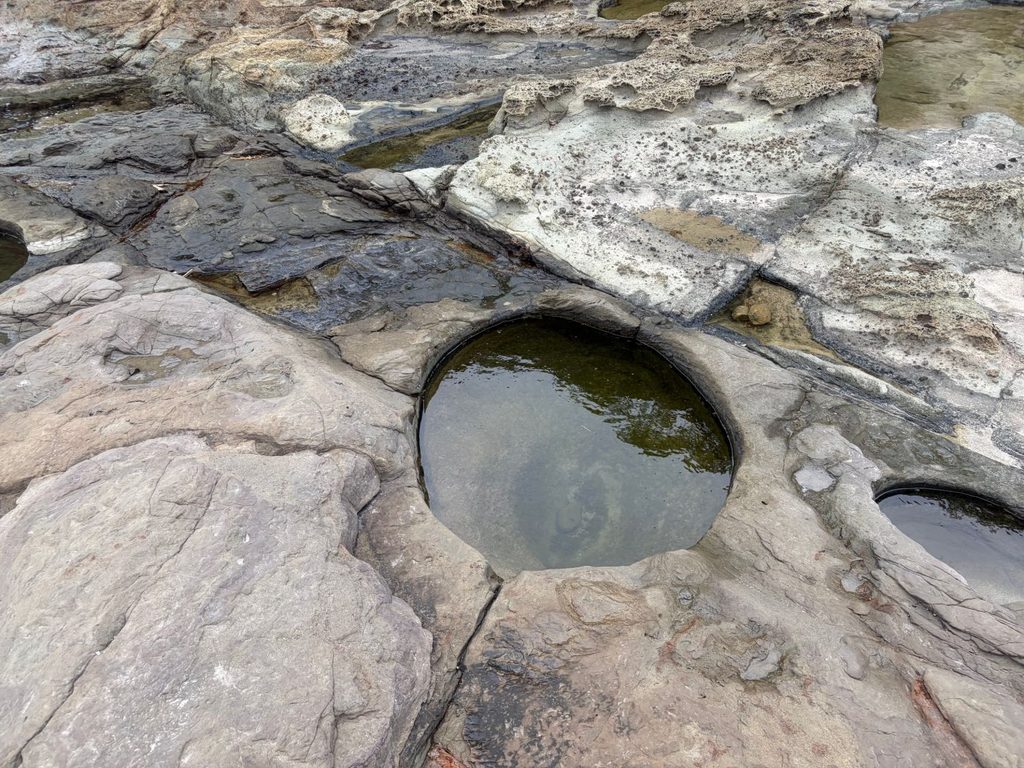 千畳敷の岩にあいた丸い穴。水がたまって小さな池のようになっている