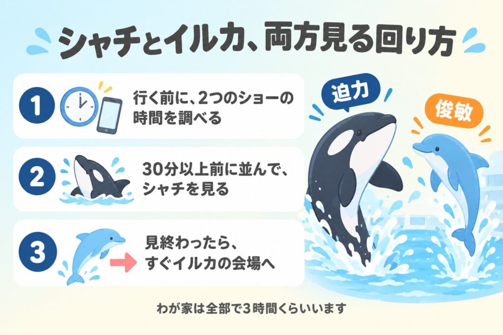 シャチとイルカ、両方見る回り方(時間を調べる→30分以上前に並んでシャチ→すぐイルカの会場へ)